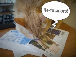 Воронежцы возмущены суммой за отопление в аномальном январе