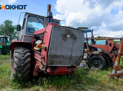 Зачем использовать бактерии на грядках