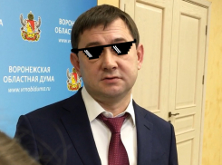 На расслабоне: как выглядит рабочая неделя депутатов облдумы Нетёсова