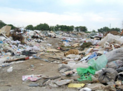 Свалка рядом с Воронежской областью может отравить реку Хопер