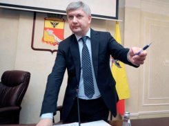 Губернатор доверил НКО заботу об «одиноких бабушках» в Воронеже