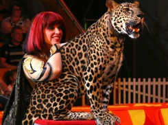 Дрессировщица Юлия Филатова: «Во время клинической смерти дед сказал мне жить дальше. Бог оставил  для продолжения династии»