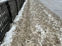 Неудобный вопрос задали мэрии Воронежа 