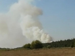 Масштабный пожар возле воронежского детского лагеря сняли на видео