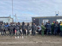24 мигранта попали в полицейский участок после рейда силовиков на стройку в Воронежской области 