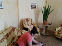 Рой насекомых и мебель с помойки ждали москвичей, которые на сутки остановились в квартире в Воронеже