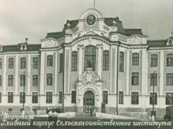Сельскохозяйственный институт получал имя великого почвоведа 57 лет назад в Воронеже