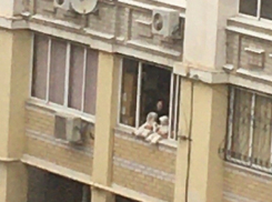 Ленивый выгул младенцев испугал пользователей Сети в Воронеже