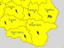 Желтый уровень опасности объявили в Воронеже