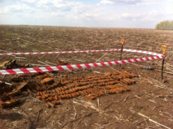 В Воронежской области поисковики нашли пикирующий бомбардировщик «Пе-2» (ФОТО)