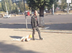 Секс-куклу вместо собаки предпочел воронежец на прогулке 