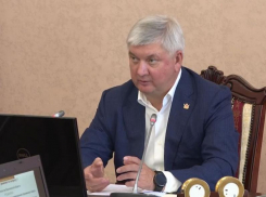 Что является приоритетным для воронежских чиновников, признался Александр Гусев