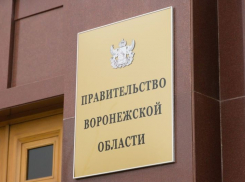 На 11% повысили зарплаты и «золотые» пенсии воронежских чиновников