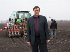Депутат облдумы Игорь Алименко владеет конюшней, лабораторией, помещением для охраны и 88 гектарами земли