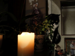 Стала известна причина отключения электричества в центре Воронежа