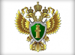 Что грозит за ложный донос