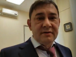 Спикер облдумы и главный воронежский единоросс Нетёсов выхватил у девушки телефон во время прямого эфира