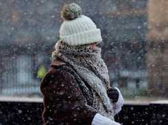 Синоптики рассказали, когда по Воронежу ударят морозы 