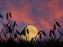 Последнее суперлуние в этом воронежцы увидят в ночь с 8 на 9 сентября 