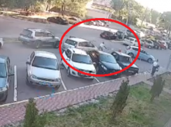 Рукопашное сражение автомобилиста со шлагбаумом сняли в Воронеже 