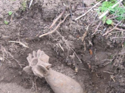 В Воронеже продолжают находить мины и гранаты времен ВОВ