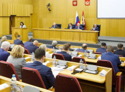 «Конституция» региона принимается без обсуждения и голосования жителей Воронежской области