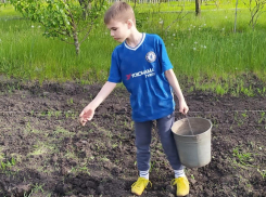 Внимание, огородники: сколько растений можно посадить на квадратном метре