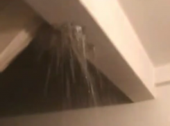 Тропический ливень в подъезде затопил пять этажей в Воронеже  