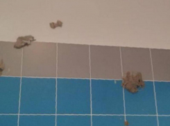 «Что за тяга загадить все?» – необычное развлечение школьников вывело из себя воронежцев