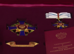 Почетные награды вручил многодетным семья губернатор Александр Гусев