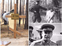 Кто покоится в могилах Дубовки, или что происходило в 30-е годы XX века в Воронеже