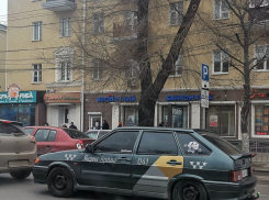 Пародию на популярное такси для бедняков нашли в Воронеже