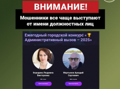 Фейковый чат в Telegram создали от имени замглавы мэра Воронежа Людмилы Бородиной 