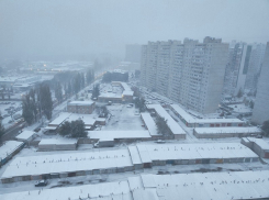 Когда ждать возвращения снега и сугробов, рассказали воронежцам