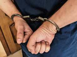 Сына воронежского чиновника, задержанного полицией, отправили под домашний арест