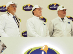 Дружба начинается с молока: Гусев и Гордеев наладили диалог под крышей «Молвеста»