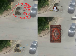 Воронежцы наклепали веселых фотожаб с «порталом в преисподнюю» на Беговой 