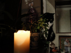 Где отключат электричество в январе 2023 года в Воронежской области