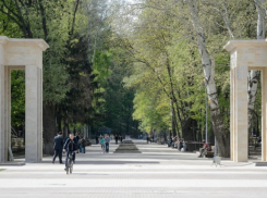 В Центральном парке культуры и отдыха пройдет благотворительный фестиваль «Добрый край Воронежский»
