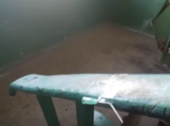 Подозрительные иголки появились на перилах в подъезде дома в Воронеже 