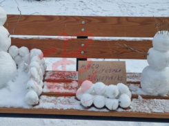 Необычный снежный бизнес прямо на лавочке открылся в Воронеже