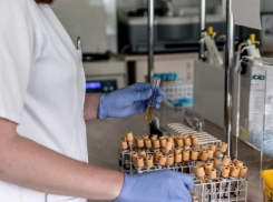 Рекордное количество зараженных коронавирусом в мае выявили в Воронежской области