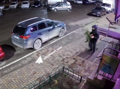 Похититель новогоднего настроения замечен в Воронеже 