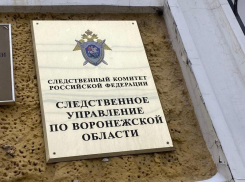 Публикации о случайном убийстве во время секса прокомментировали воронежские следователи 