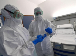 Воронежская область обогнала соседей по доле выздоровевших от коронавируса