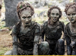 Кто в Воронеже вызвал гнев «детей леса»