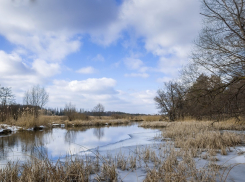Завершен первый этап разработки территориальной схемы и региональной программы обращения с отходами для Воронежской области