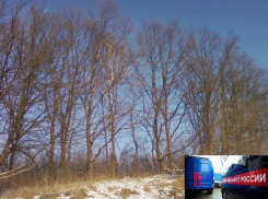 В Воронеже задержали убийцу, расчленившего свою жертву и разбросавшего ее части тела по городу