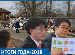 Итоги 2018 года: Рост тарифов и «умные дома» в Воронеже