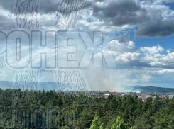 Мощное пламя захватило поле в Воронеже